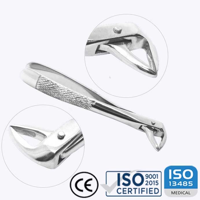 Extracting Forceps No. 123, Child Lower Teeth (Universal), English Pattern - Knurled Handle - Image 3