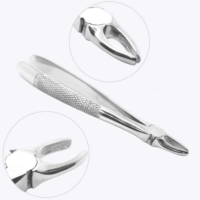 Extracting Forceps No.3, Upper Incisors and Canines, English Pattern - Knurled Handle - Image 2