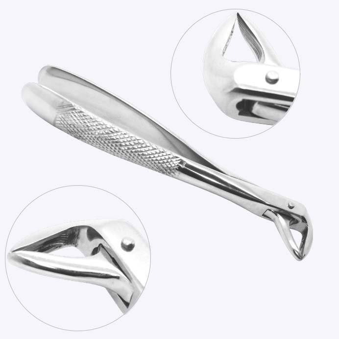 Extracting Forceps No. 74, Lower Incisors and Roots, English Pattern - Knurled Handle - Image 2