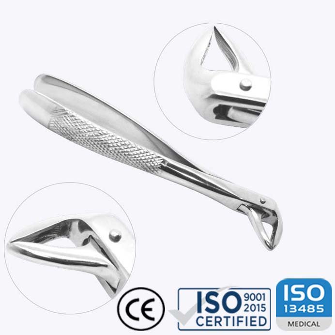 Extracting Forceps No. 74, Lower Incisors and Roots, English Pattern - Knurled Handle - Image 3